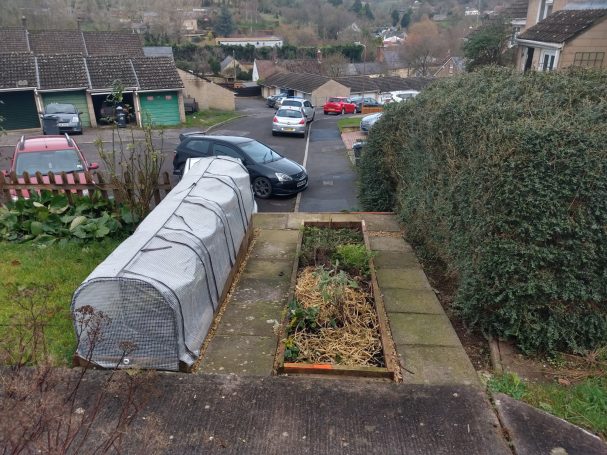 Raised beds