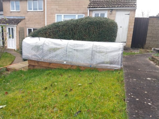Raised bed