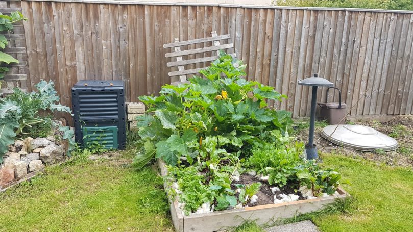 Raised bed
