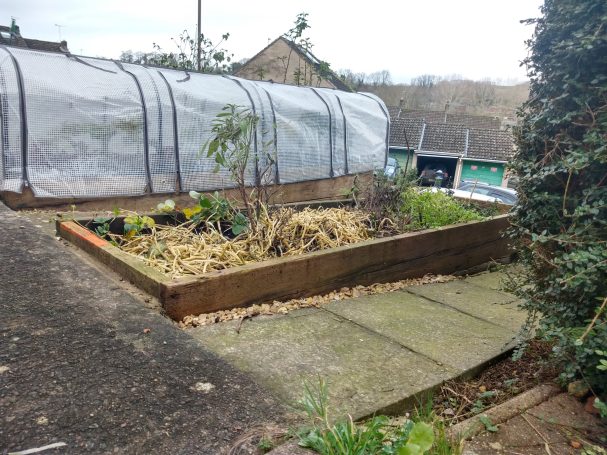 Raised bed